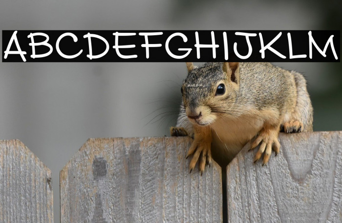 Mark Market Example 1