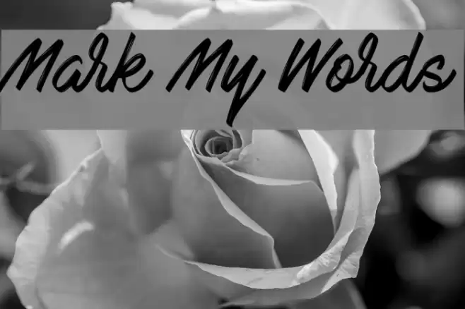 Mark My Words Font examples