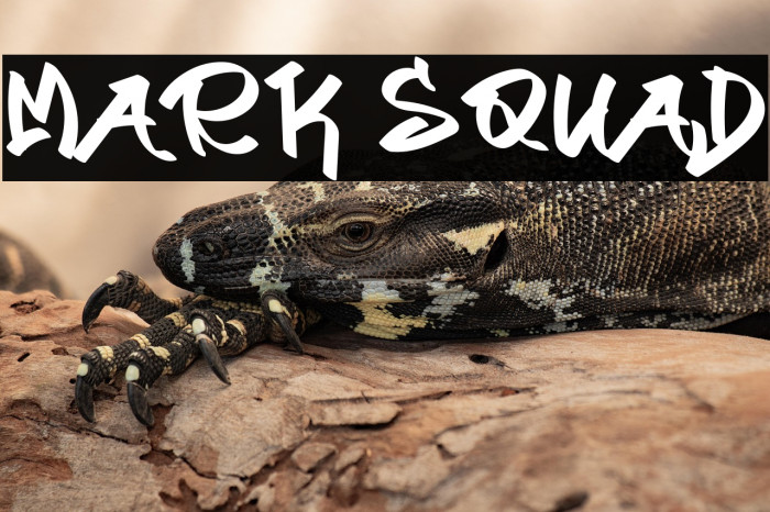 Mark Squad Example 3