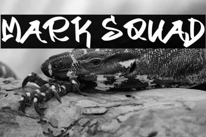 Mark Squad Example 3