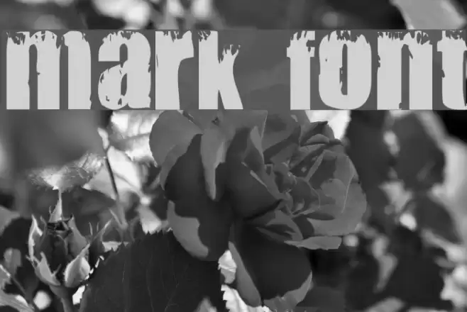 Mark Font examples