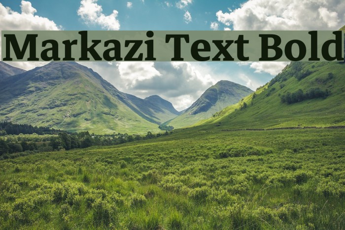 Markazi Text Bold Font examples