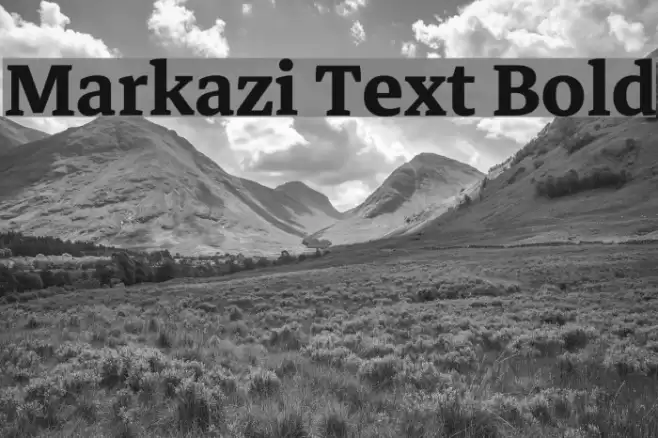 Markazi Text Bold Font examples