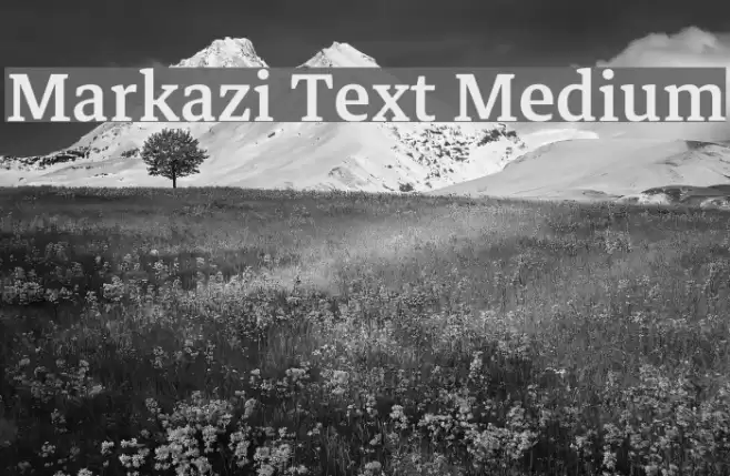 Markazi Text Medium Font examples