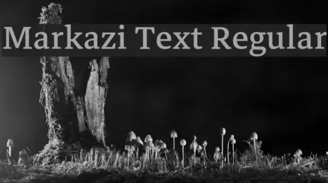 Markazi Text Regular Font examples