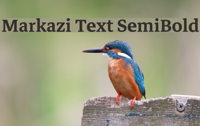 Markazi Text SemiBold Font examples