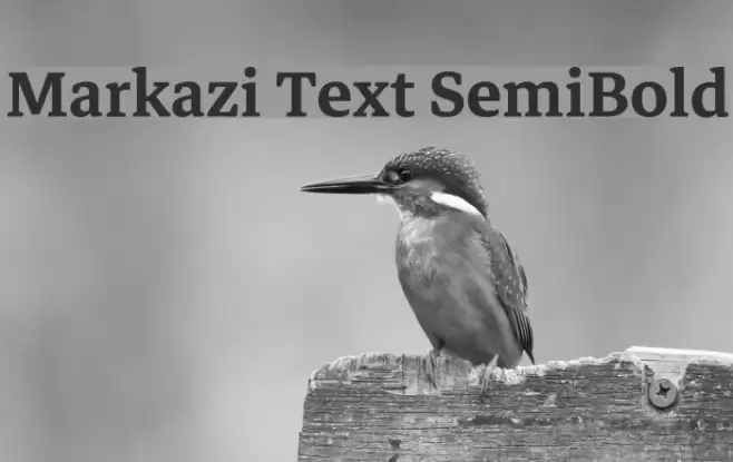 Markazi Text SemiBold Schriftart examples