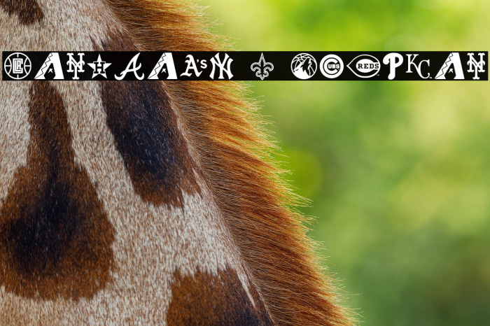 Markbats 7 Regular Example 1