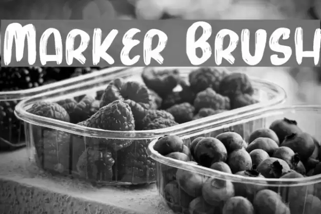 Marker Brush Font examples