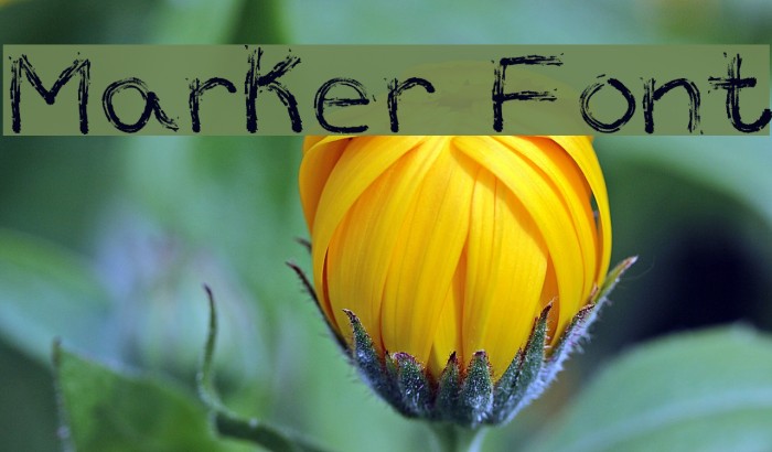 Marker Font Font examples