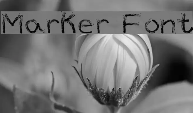 Marker Font Example 2