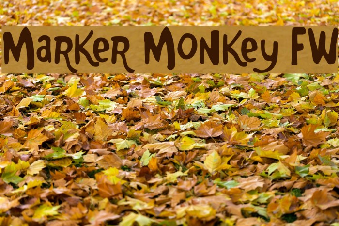 Marker Monkey FW Font examples