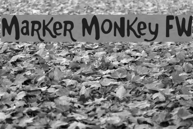 Marker Monkey FW Example 1