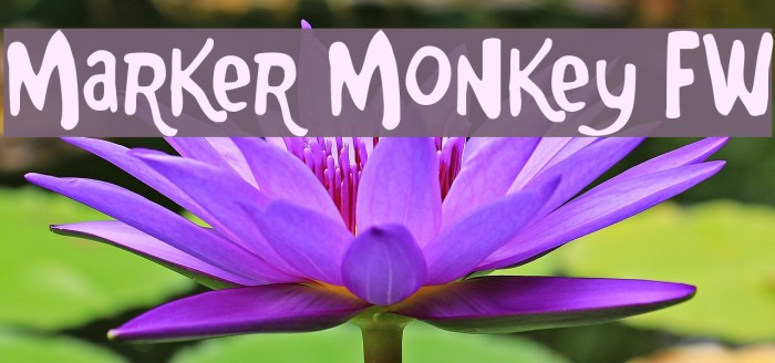 Marker Monkey FW Font examples