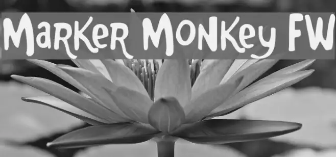 Marker Monkey FW Example 3