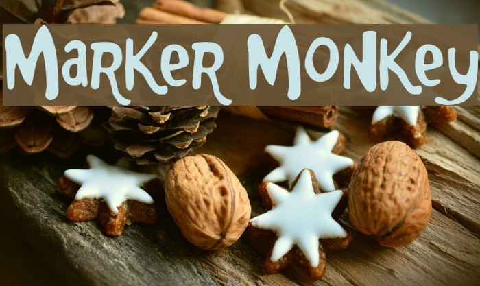 Marker Monkey Font examples