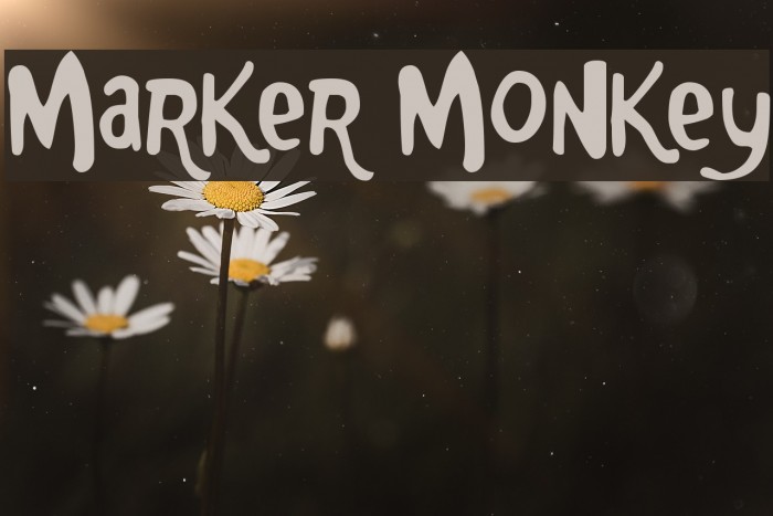 Marker Monkey Font examples