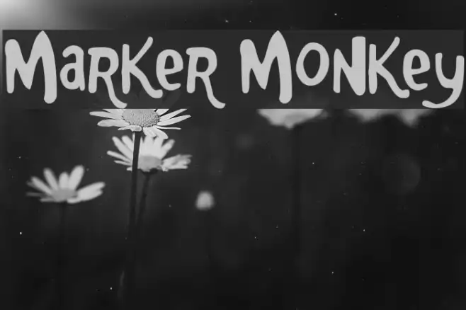 Marker Monkey Example 2