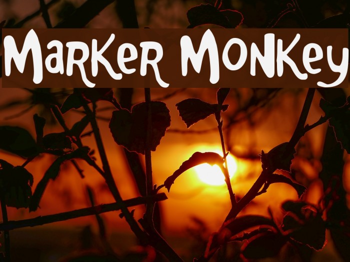 Marker Monkey Font examples