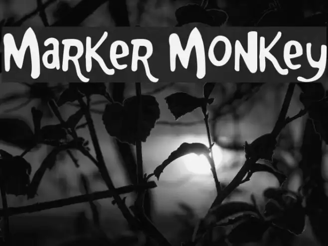 Marker Monkey Example 3