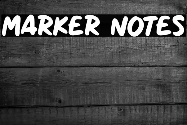 Marker Notes Example 1
