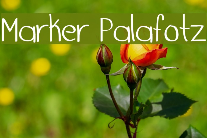 Marker Palafotz Font examples