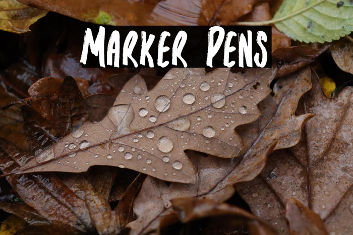 Marker Pens Example 1