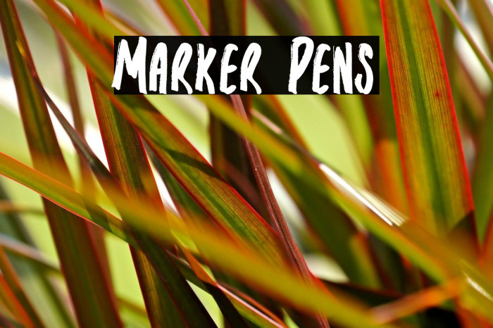 Marker Pens Example 3