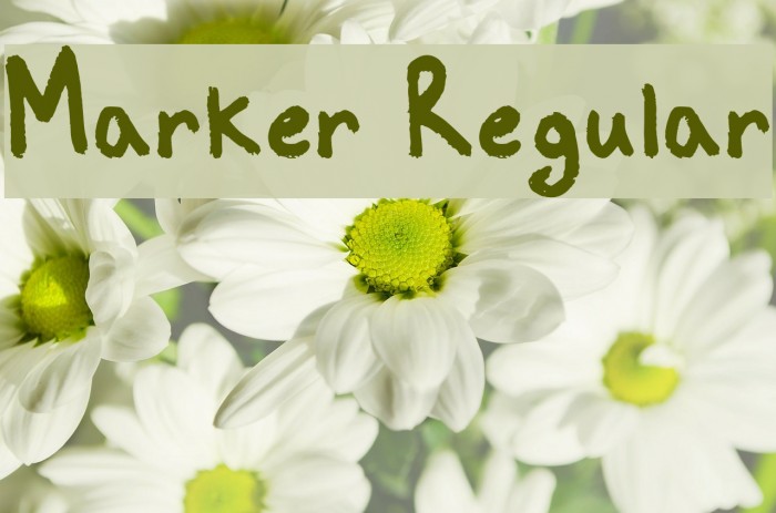 Marker Regular Font examples