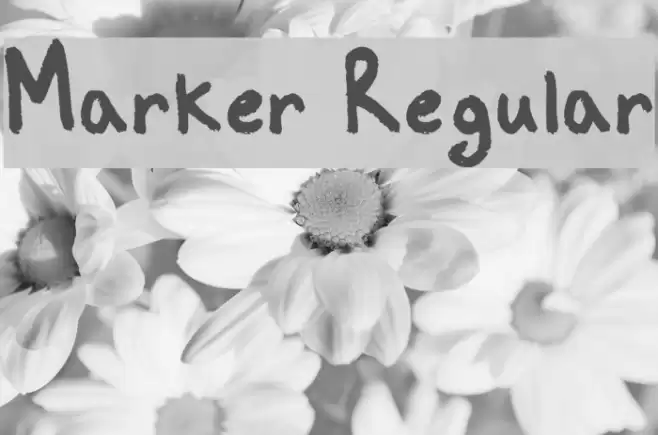 Marker Regular Polices examples