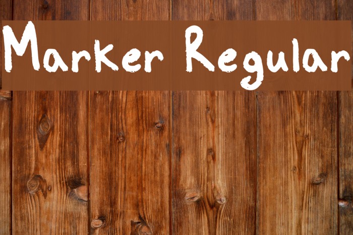 Marker Regular Font examples