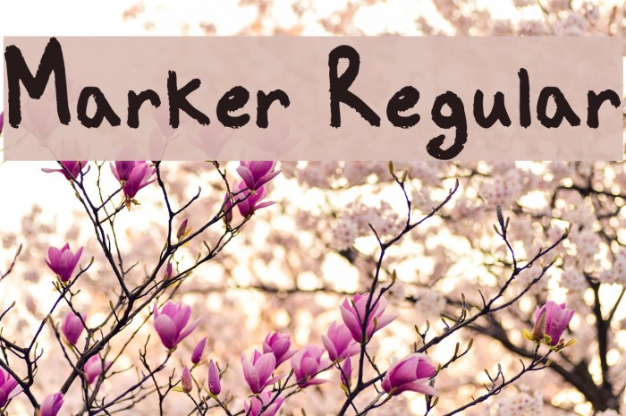 Marker Regular Font examples
