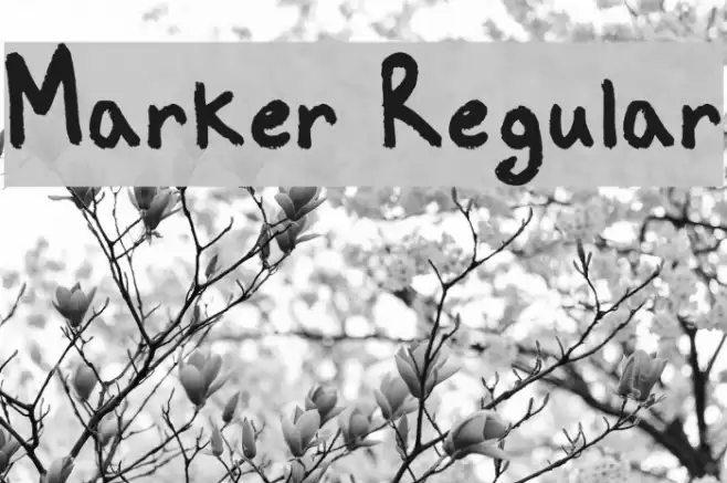 Marker Regular Polices examples