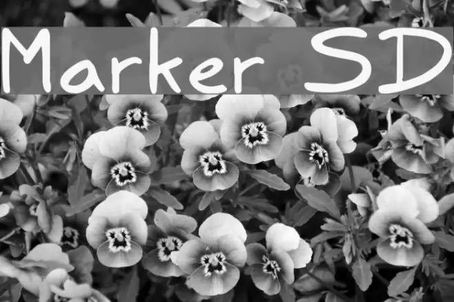 Marker SD Font examples