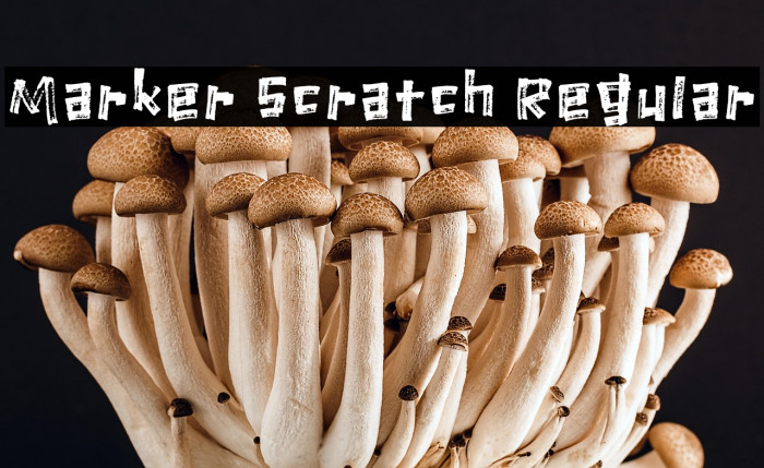 Marker Scratch Regular Example 1