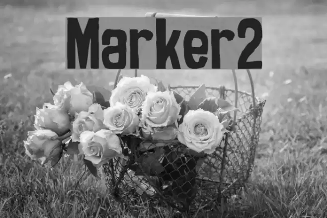 Marker2 Font examples