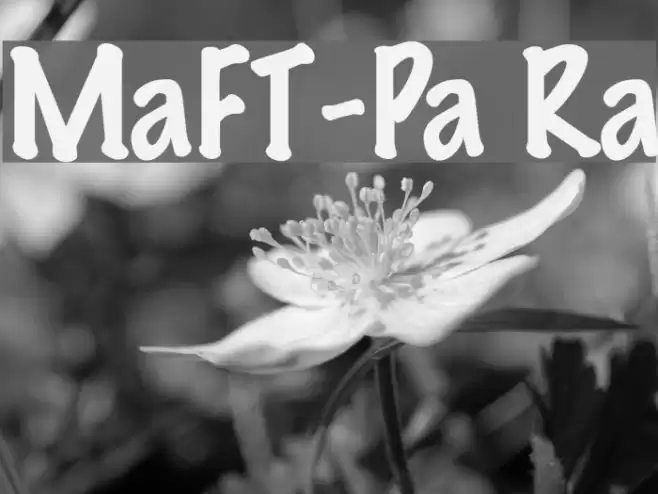 MarkerFeltThin-Plain Regular Font examples