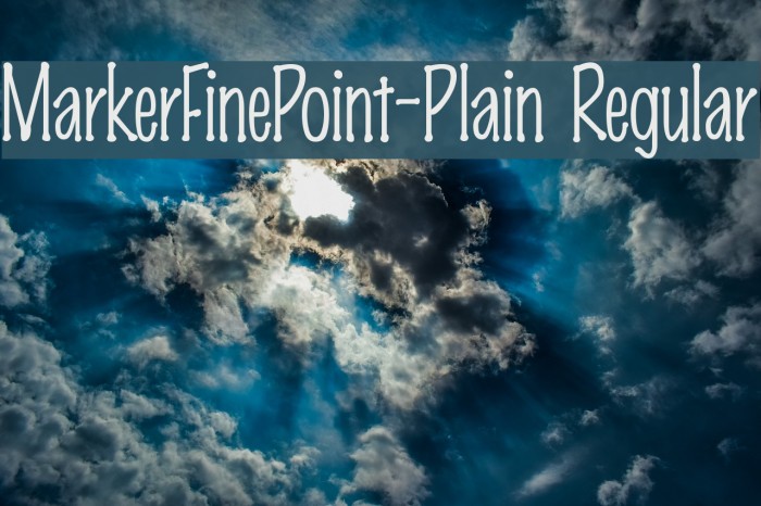 MarkerFinePoint-Plain Regular Font examples