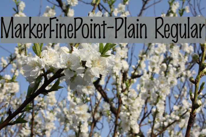 MarkerFinePoint-Plain Regular Font examples