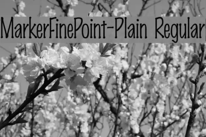 MarkerFinePoint-Plain Regular フォント examples