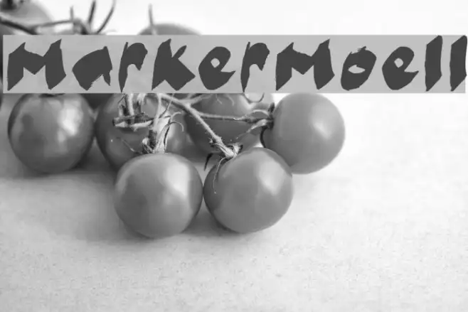 MarkerMoeII Example 2