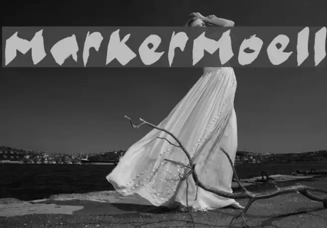 MarkerMoeII Example 3