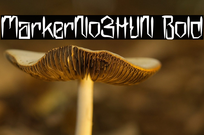 MarkerNo3HUN Bold Example 2