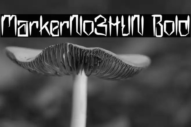 MarkerNo3HUN Bold Font examples