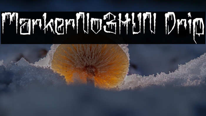 MarkerNo3HUN Drip Example 2