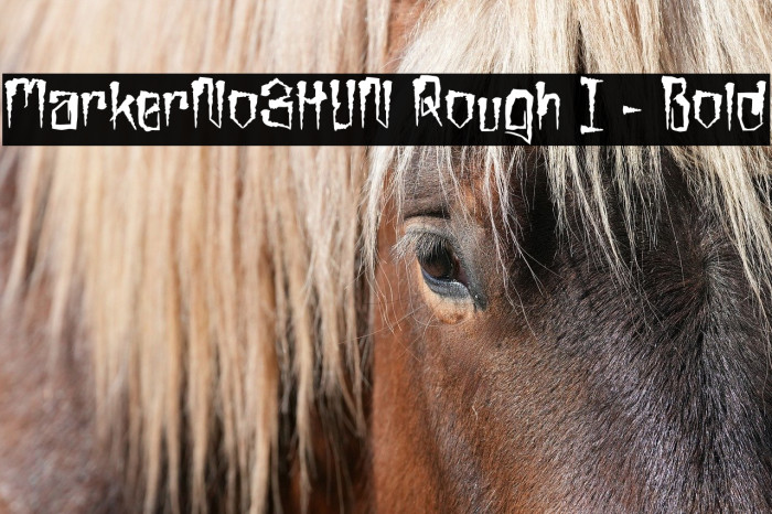 MarkerNo3HUN Rough I - Bold Example 1