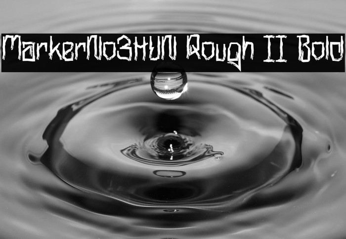 MarkerNo3HUN Rough II Bold Example 2