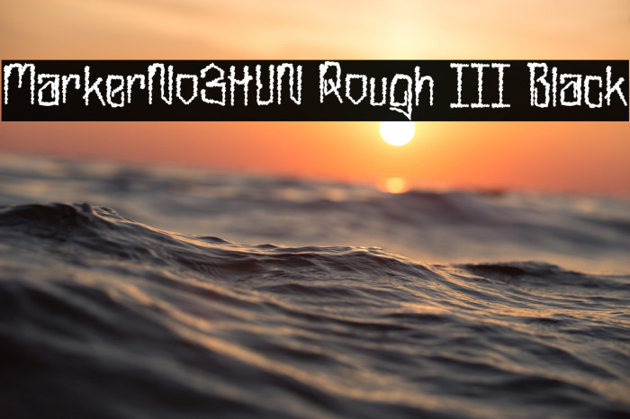 MarkerNo3HUN Rough III Black Example 2