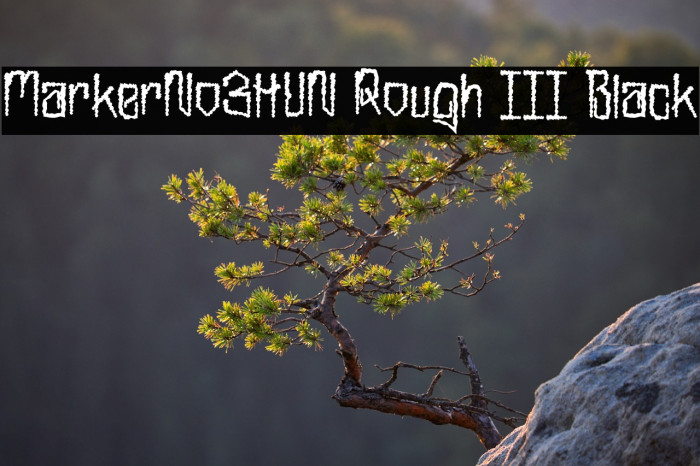 MarkerNo3HUN Rough III Black Example 3