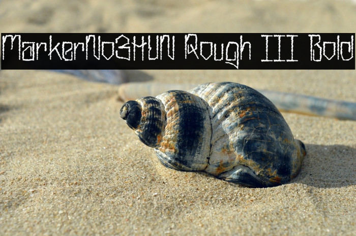 MarkerNo3HUN Rough III Bold Example 2
